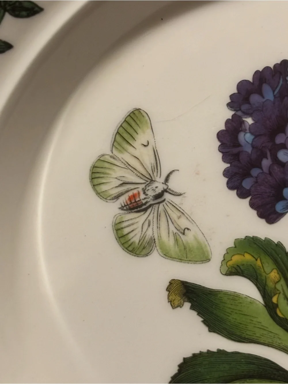Portmeirion Botanic Garden Primula Villosa 7” Side Plate